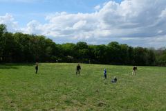 Pole "U dubu" - Květnatá louka