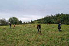 Květnatá louka na poli U dubu