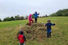 Květnatá louka na poli U dubu