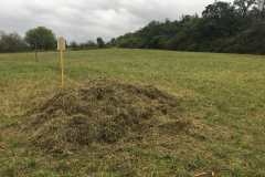 Květnatá louka na poli U dubu