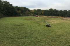 Uspávání květnaté louky II.