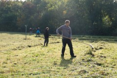 Uspávání květnaté louky II.