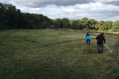 Uspávání květnaté louky II.