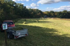 Uspávání květnaté louky II.