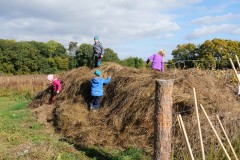 Uspávání květnaté louky II.