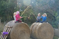 Uspávání květnaté louky II.