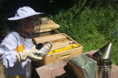 Včely farmáře Ježka