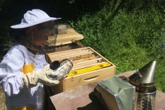 Včely farmáře Ježka