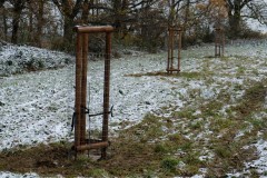 Pole U dubu - Agrolesnictví