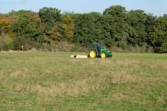 Pole "U dubu" - Květnatá louka