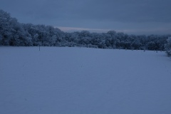 Pole U dubu - Květnatá louka