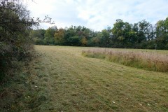 Pole U dubu - Květnatá louka