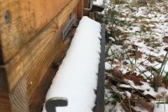 Pole U dubu - Včelnice