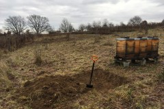 Pole U dubu - Včelnice